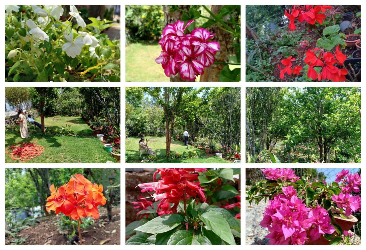 Pear Tree Inn Villa Kotagiri Buitenkant foto