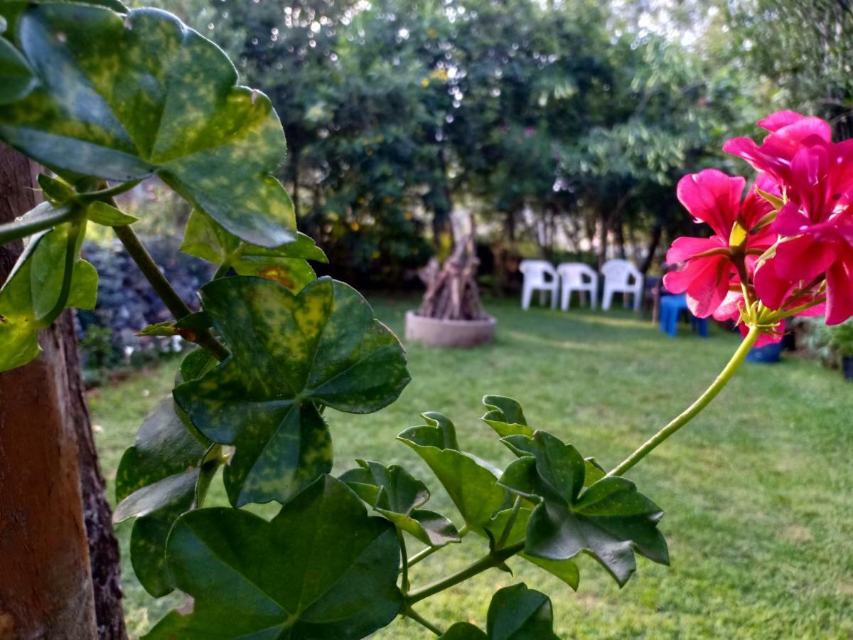Pear Tree Inn Villa Kotagiri Buitenkant foto