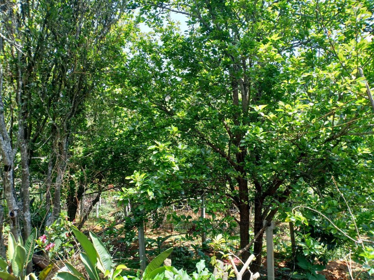 Pear Tree Inn Villa Kotagiri Buitenkant foto